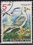 Bulgaria - 1986 - Fauna - 5 CT - Multicolor - Bulgaria, Fauna - Scott 3328B - Animals Birds Gull Larus argentatus - 0